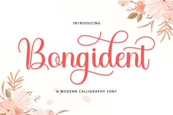 Bongident Script: The Font That Dances Off the Page