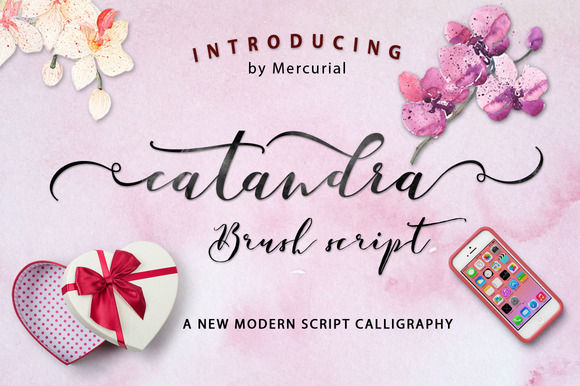 Catandra Script: The Modern Handmade Typeface for Fresh Branding