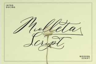 Miolleta Script: A Dance Between Classic Charm and Modern Flair
