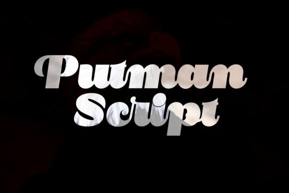 Putnam Script: Bold Retro Flair for Modern Brands