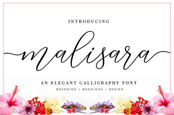 The Romantic Allure of Malisara Script