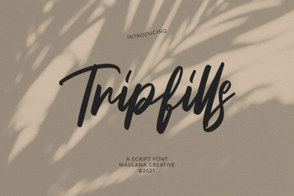 Tripfills Script: The Stylish Font for Modern Brands